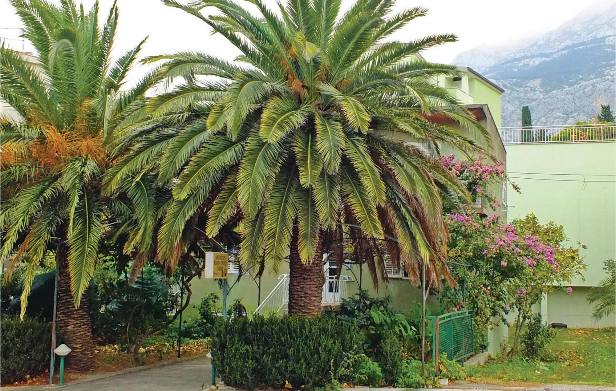 Lovely Apartment In Makarska With Wifi Luaran gambar